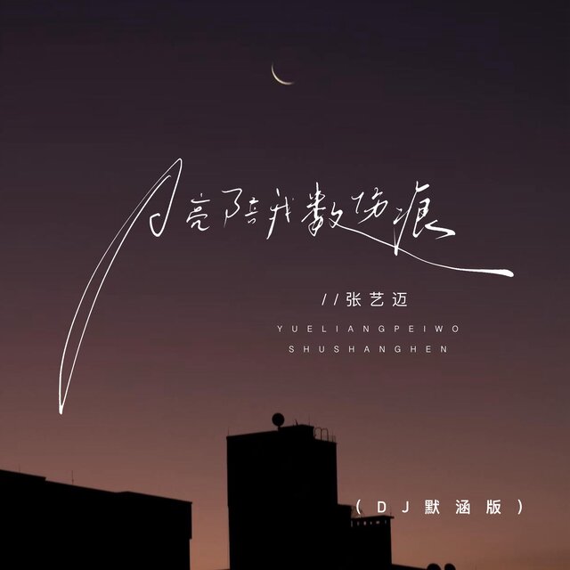 月亮陪我数伤痕 (DJ默涵版)