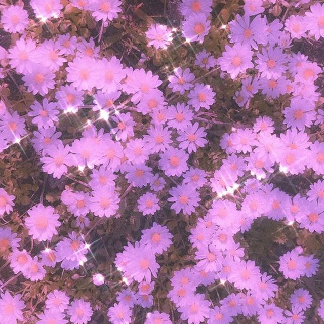 Stroll in the Park