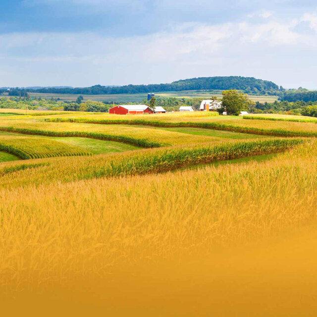 Iowa