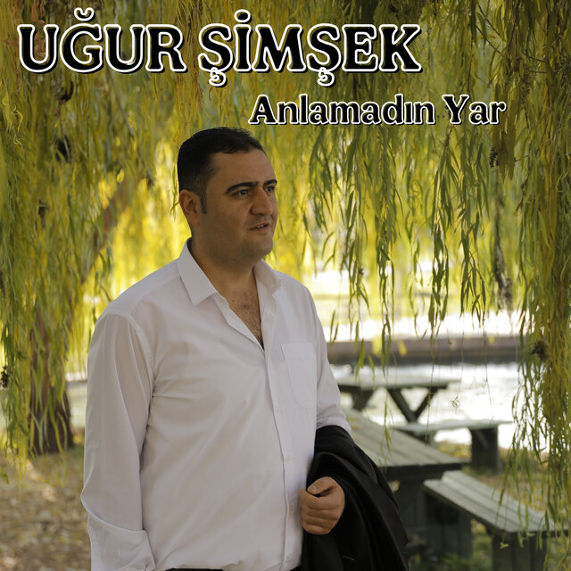 Anlamadın Yar