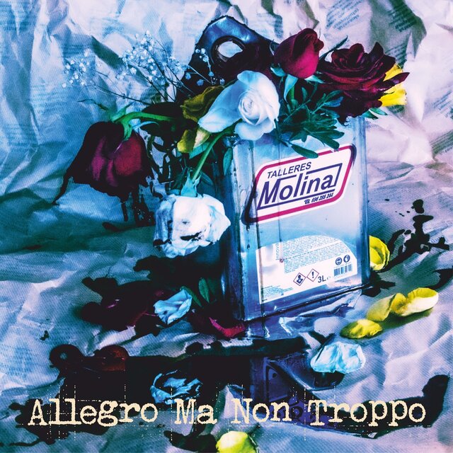 Allegro, Ma Non Troppo