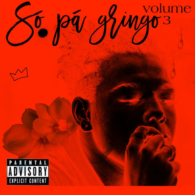 Só Pá Gringo, Vol. 3