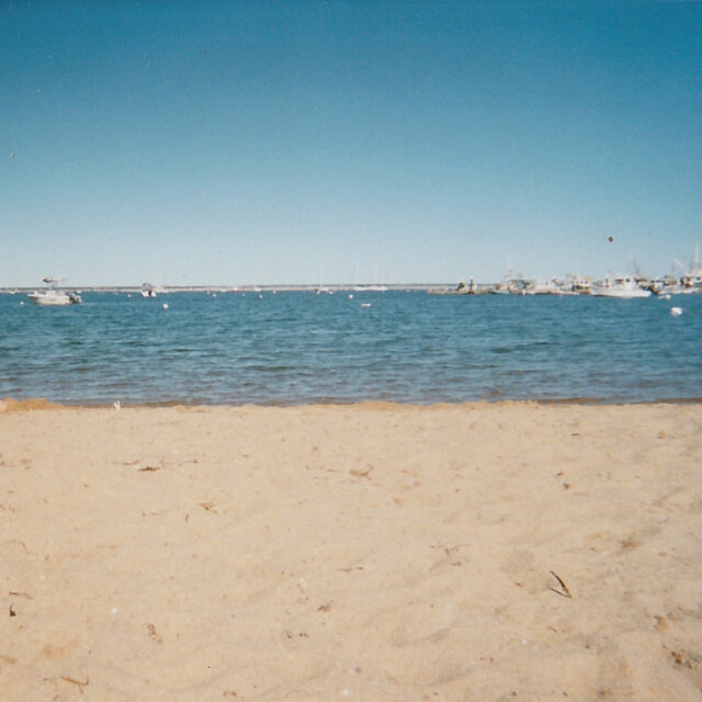 Summer Miscellaneous