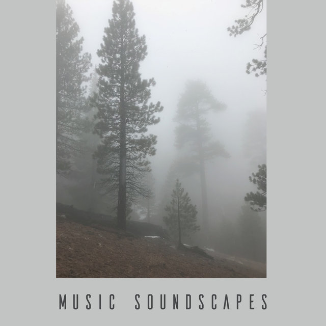 Nature Songs: Rain