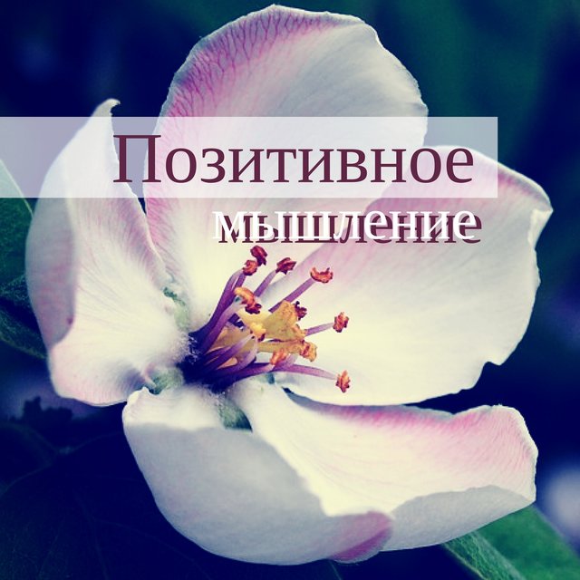 Позитивное мышление - Сосредоточения и медитации