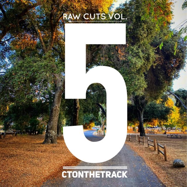 Raw Cuts, Vol. 5