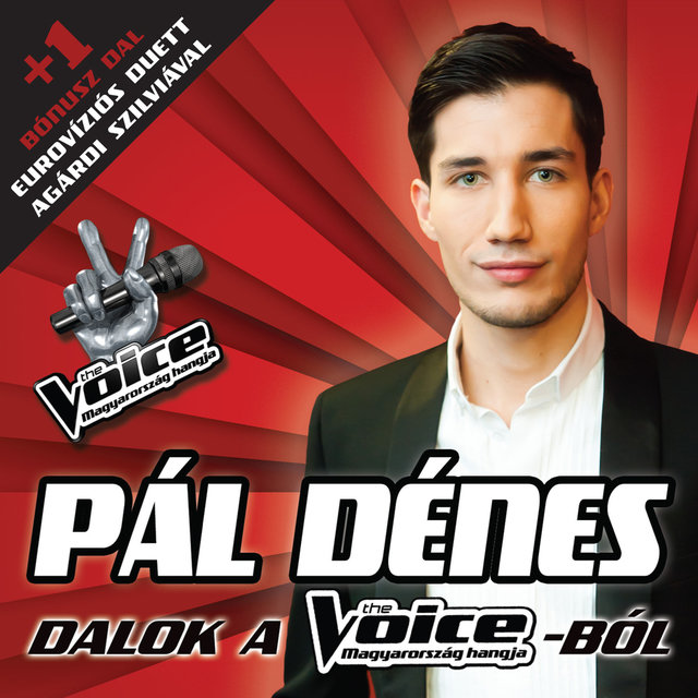 Dalok  a  The Voice-ból