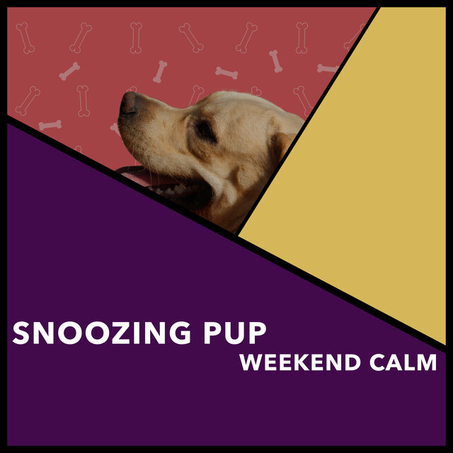 Snoozing Pup Weekend Calm