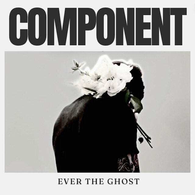 Component