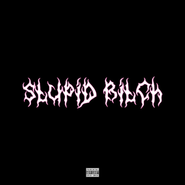 Stupid Bitch