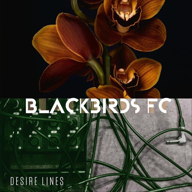 Desire Lines
