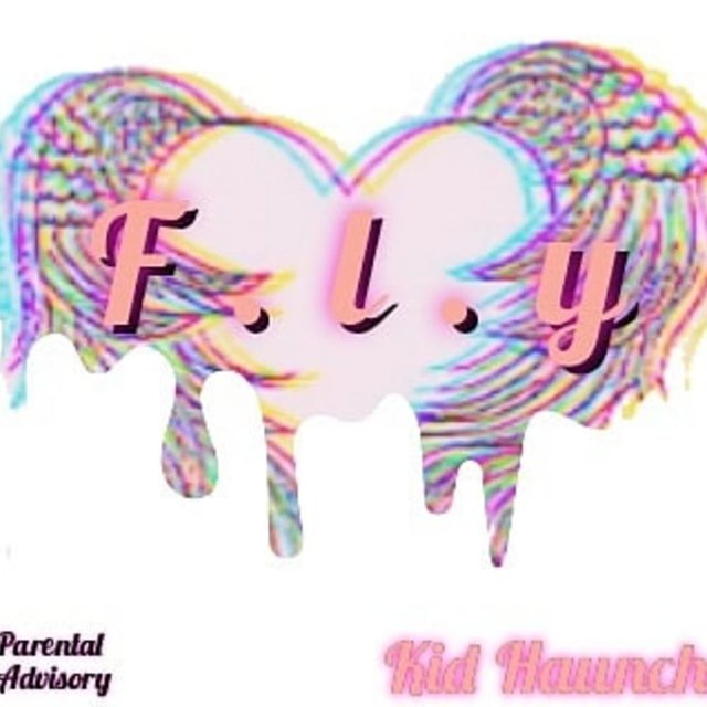 Fly