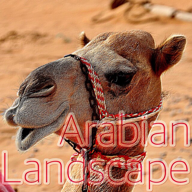 Arabian Landscape