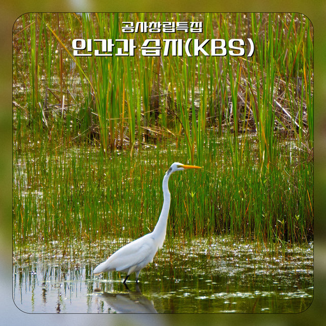 Founding Special Feature Humans and Wetlands (KBS)