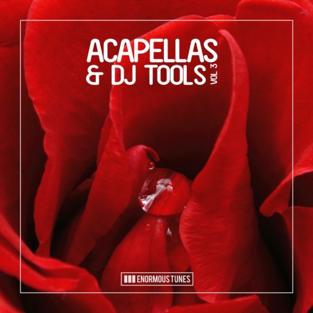 Enormous Tunes - Acapellas & DJ-Tools, Vol. 3
