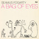 Cover art for album A Bag Of Eyes by Seamus Fogarty