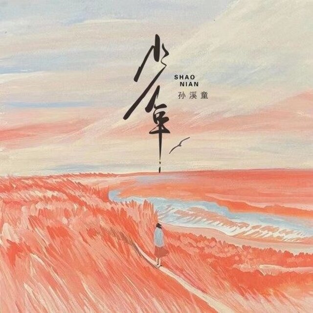 少年