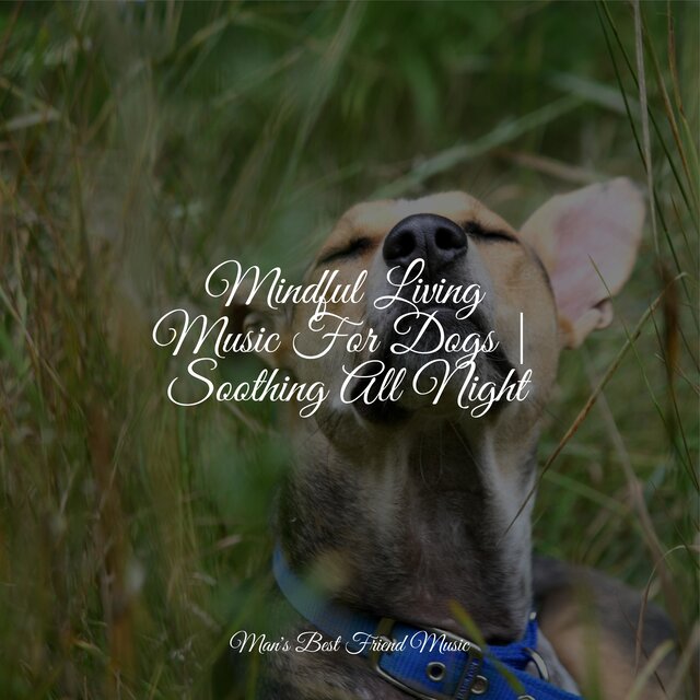 Mindful Living Music For Dogs | Soothing All Night