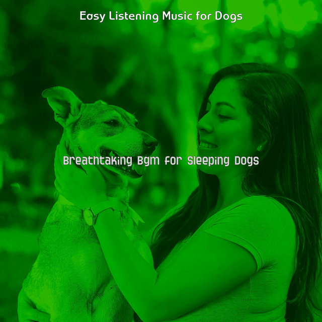 Breathtaking Bgm for Sleeping Dogs