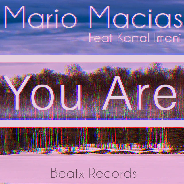 You Are Feat. Kamal Imani - Single
