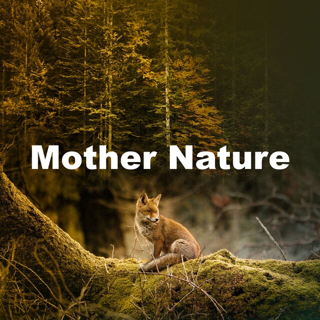 Mother Nature
