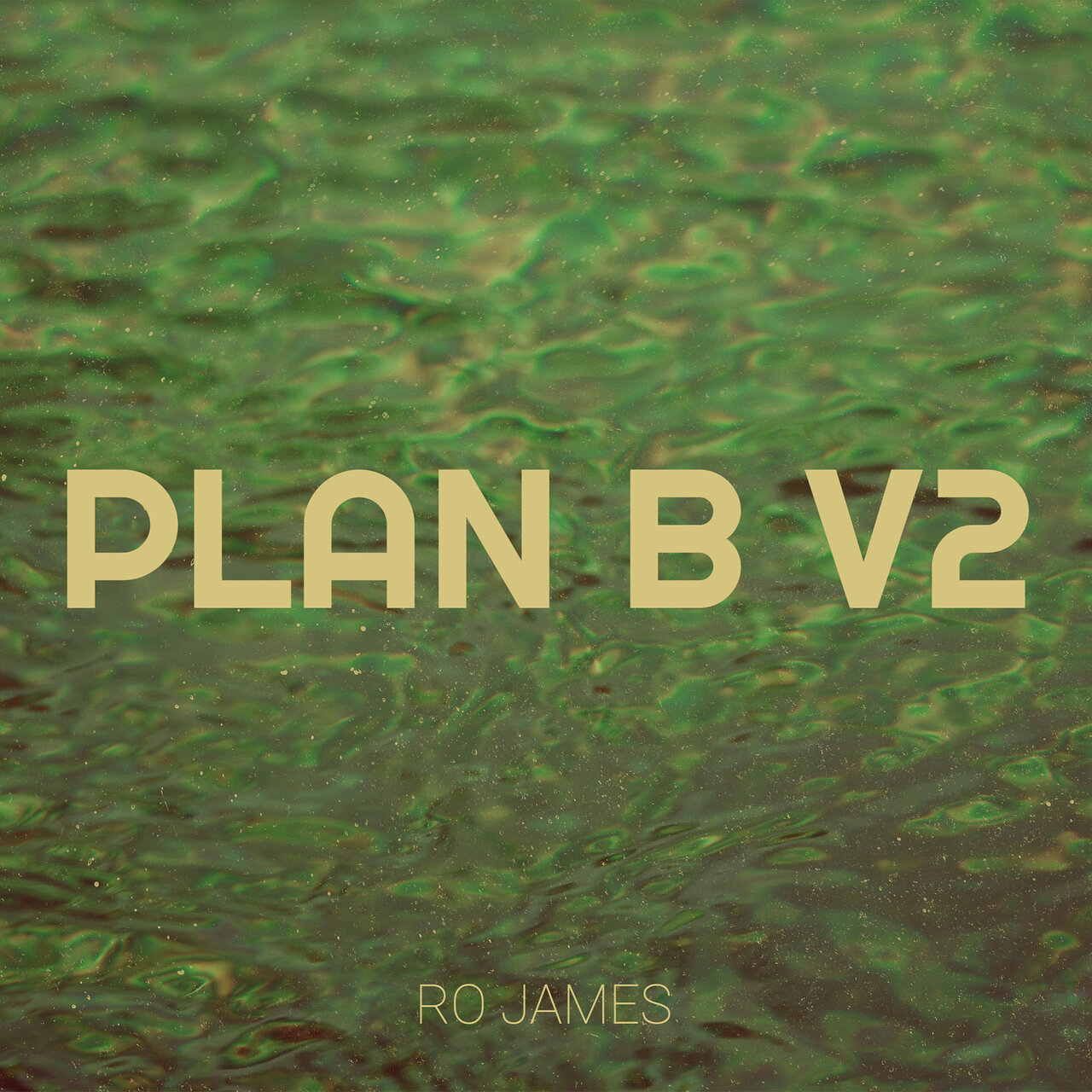 ro-james-on-tidal