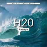 H2O