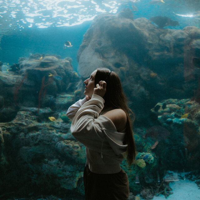 Lost My Place