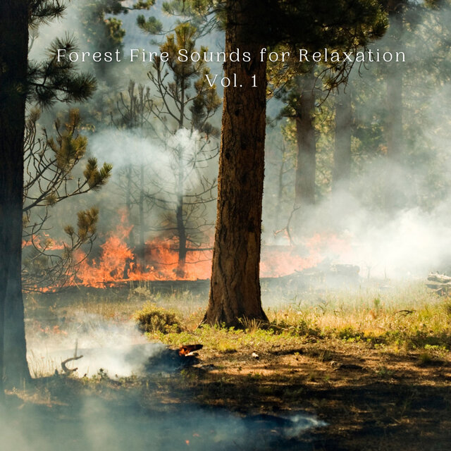 Forest Fire Sounds for Relaxation Vol. 1