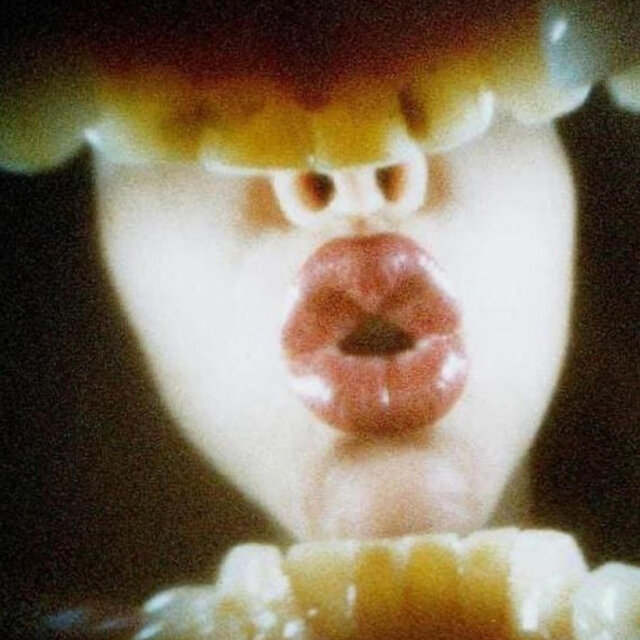 TOOTHACHE