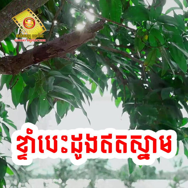 ខ្ទាំបេះដូងឥតស្នាម (Sd, Vol. 85)