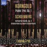 Piano Trio in D Major, Op. 1: III. Larghetto, sehr langsam
