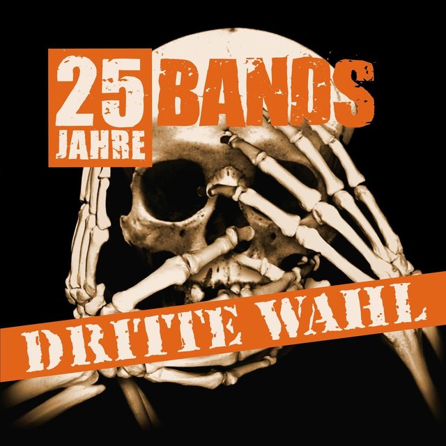 Dritte Wahl: 25 Jahre - 25 Bands