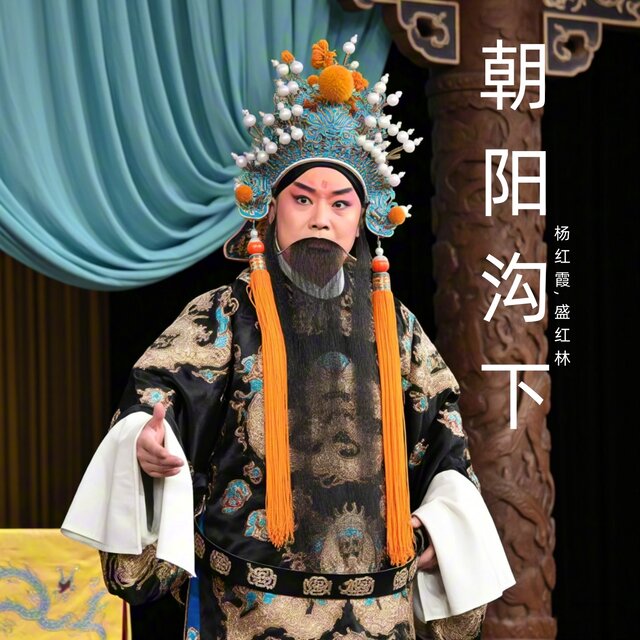 朝阳沟下 (豫剧)