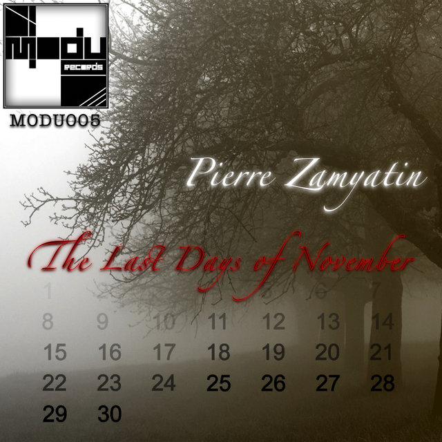 The Last Days of November