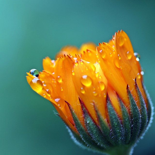 25 Essential Rain Sounds for Chill Nights