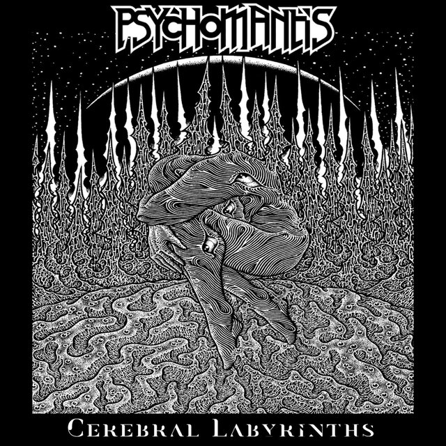 Cerebral Labyrinths