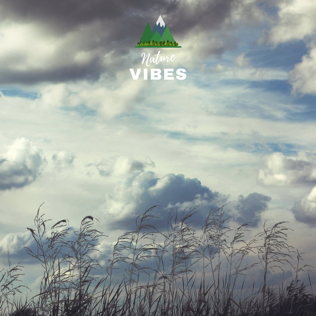 All Natural Sleep Medicine
