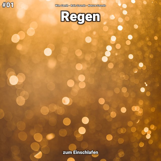 #01 Regen zum Einschlafen