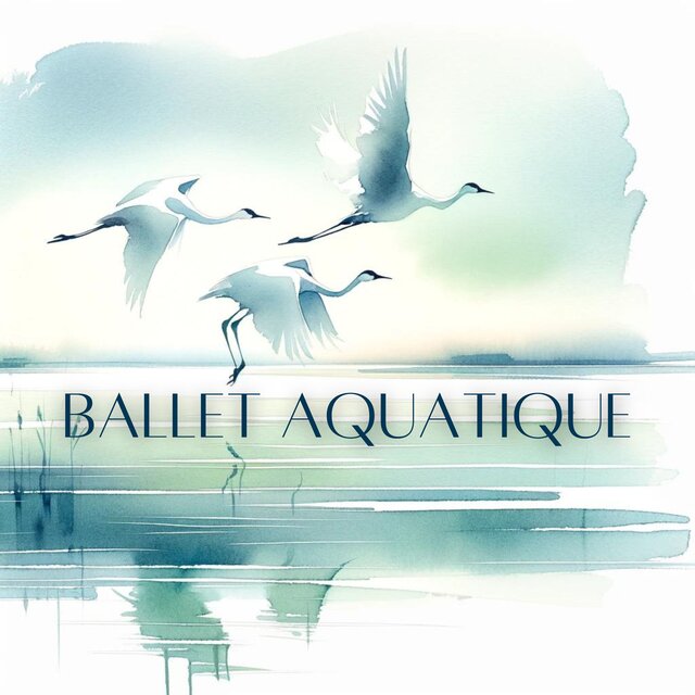 Ballet aquatique: Splendeur naturelle des oiseaux à travers des airs enchanteurs