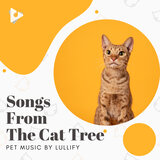 Catty Perry
