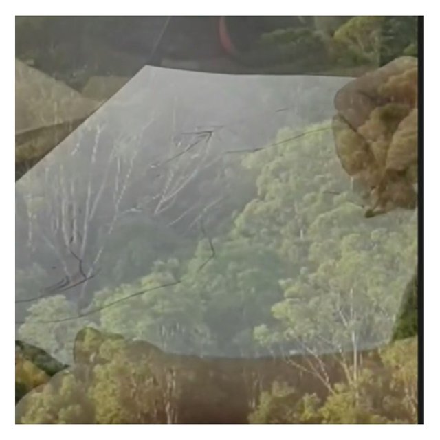 Naturaleza Justa