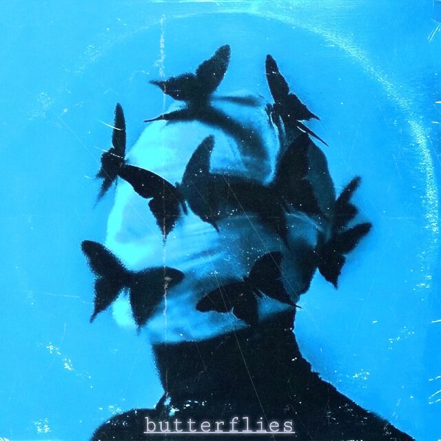 butterflies