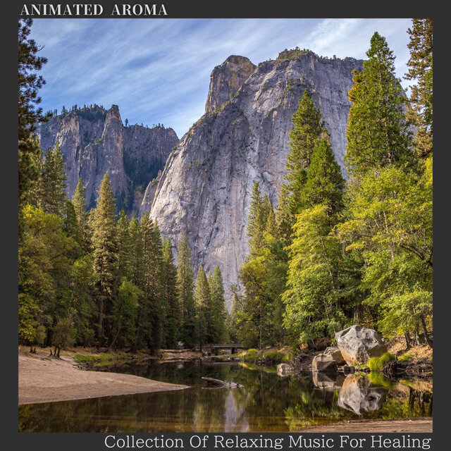 Collection Of Relaxing Music For Healing