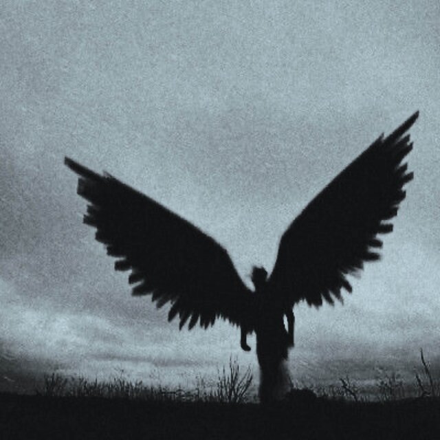 ECHOES