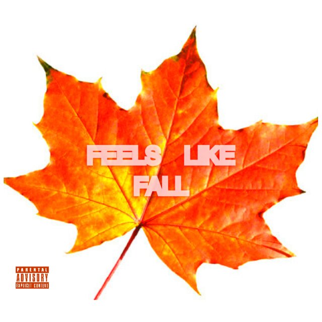 FEELS LIKE FALL
