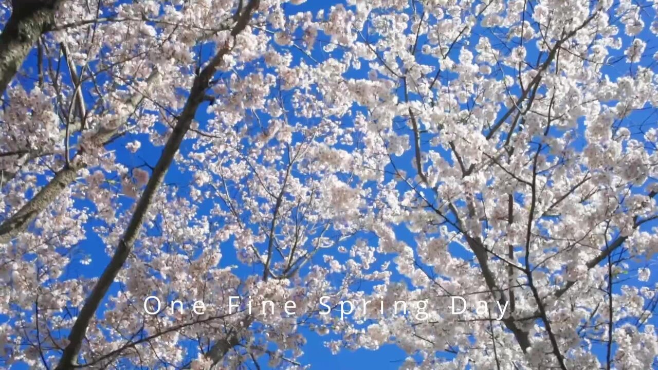 One Fine Spring Day