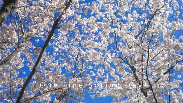 One Fine Spring Day