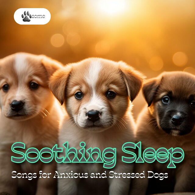 Soothing Sleep Songs for Anxious and Stressed Dogs