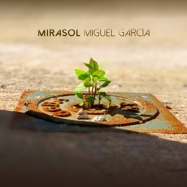 Mirasol